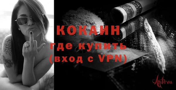 молекула духа Пересвет