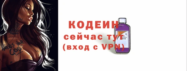 дурь Арсеньев