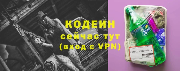 дурь Арсеньев